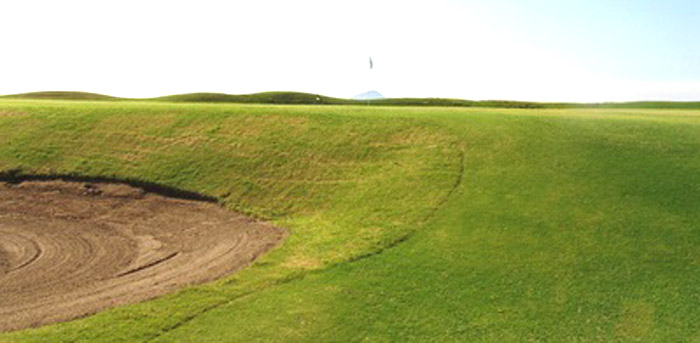 Golf Course Picture